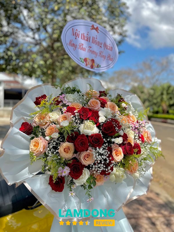 Shop hoa TOLA – hoa tại Gia Nghĩa