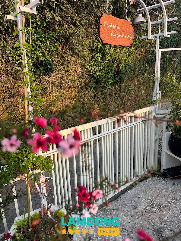 Prema in mori không gian chữa lành