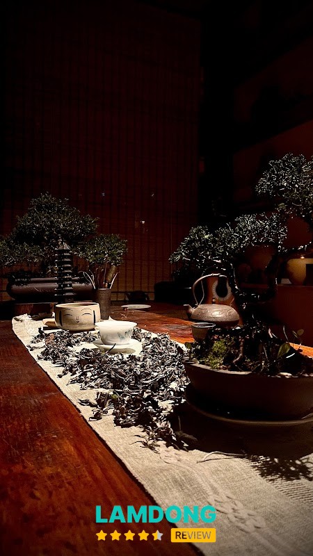 Pura Retreat Yoga chữa lành Đà Lạt