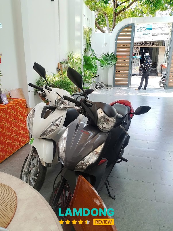 MOR BIKE – xe cho thuê tại Phan Thiết