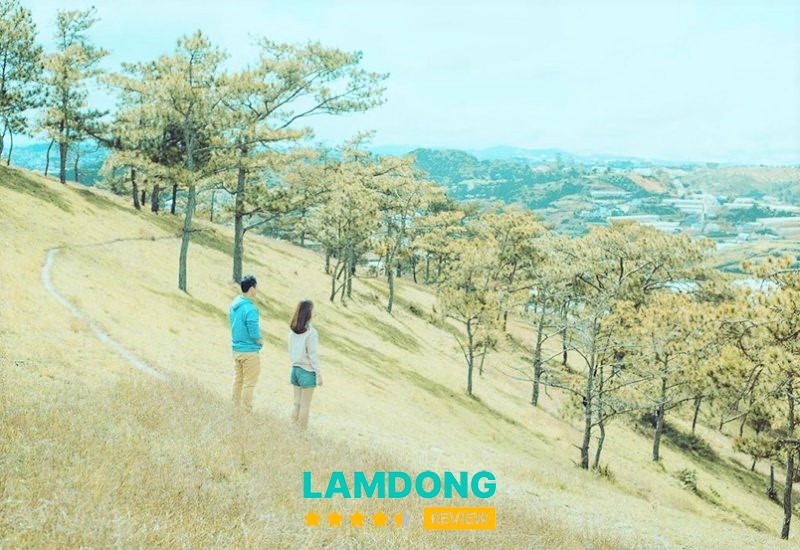 Đồi Đa Phú view đồi thông