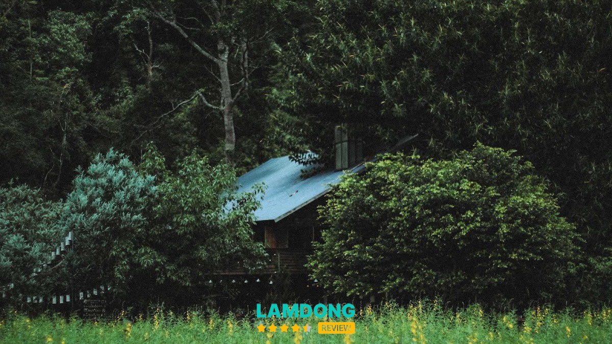 Dalat Camp Đà Lạt