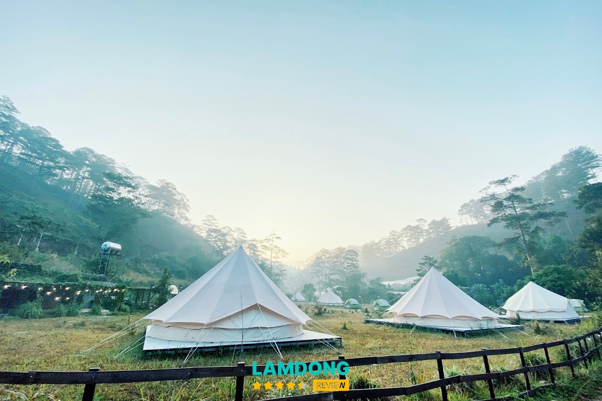 Dalat Camp thung lũng thông