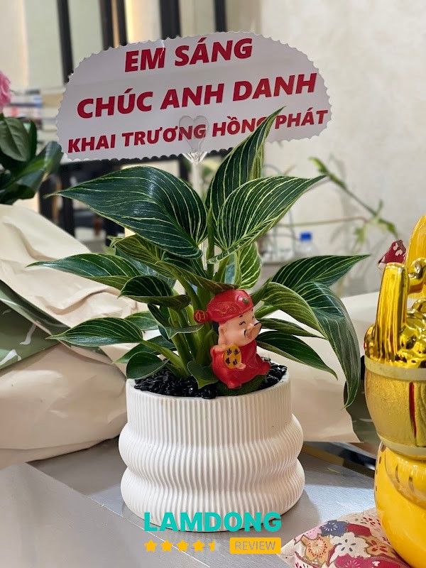 Hair salon HaZa – dịch vụ tóc