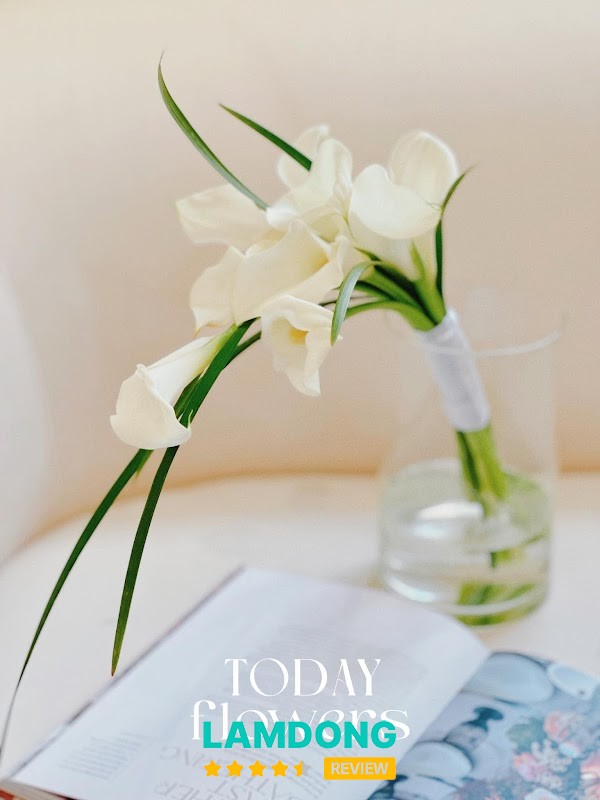 Shop hoa Today Flowers – bó hoa đẹp