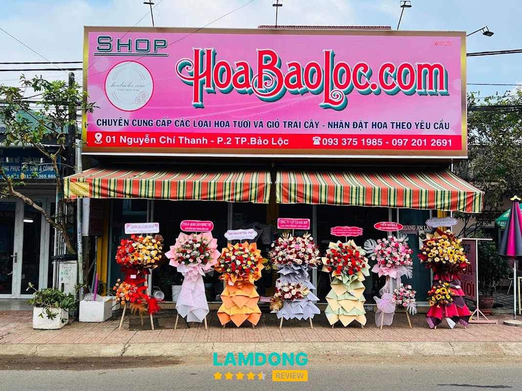 Hoa Tươi Tại Bảo Lộc – 1 Nguyễn Chí Thanh, 2 Bảo Lộc