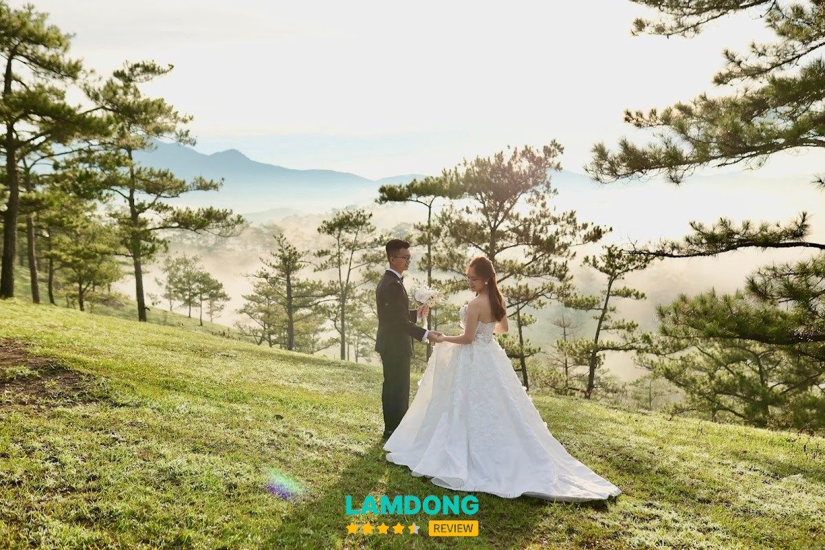 TuArt Wedding Đà Lạt – ảnh cưới ngoại cảnh