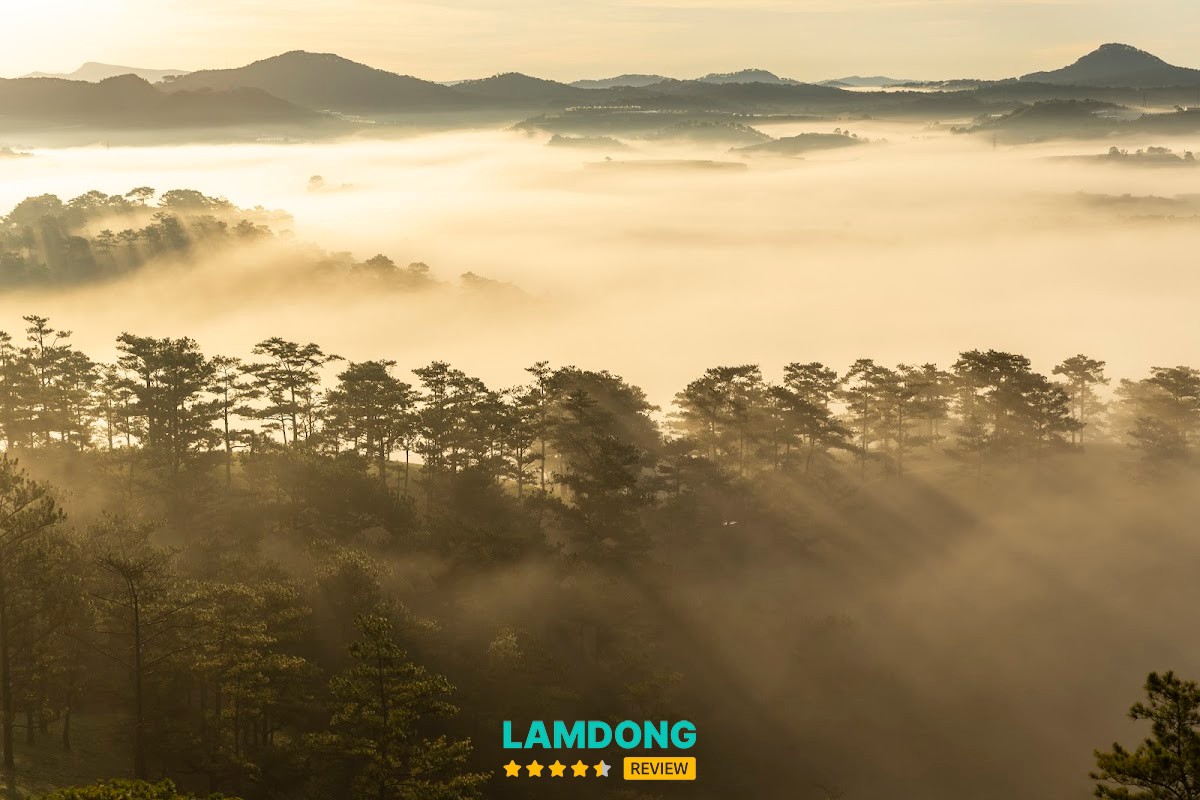 Dati Studio Đà Lạt – Bà Triệu