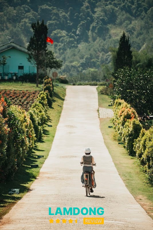 Hippie wedding – chụp ảnh đẹp ở Đà Lạt