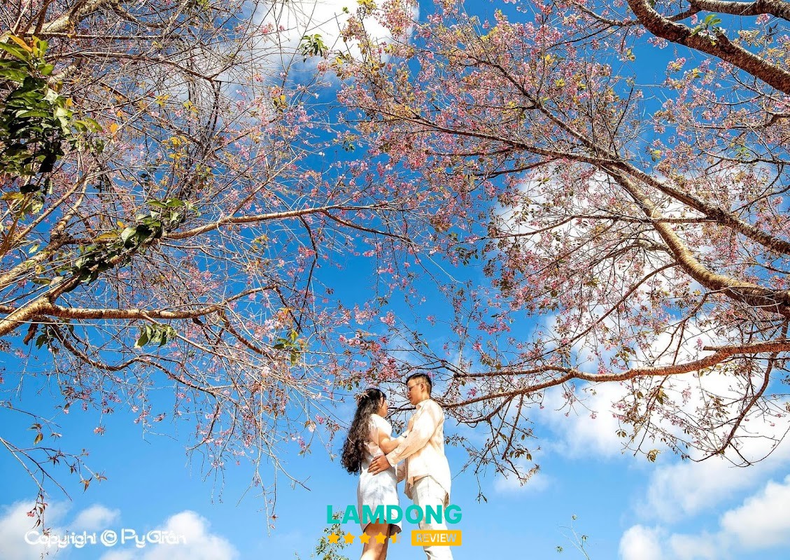 Chụp Ảnh Đà Lạt – Xuân Trường