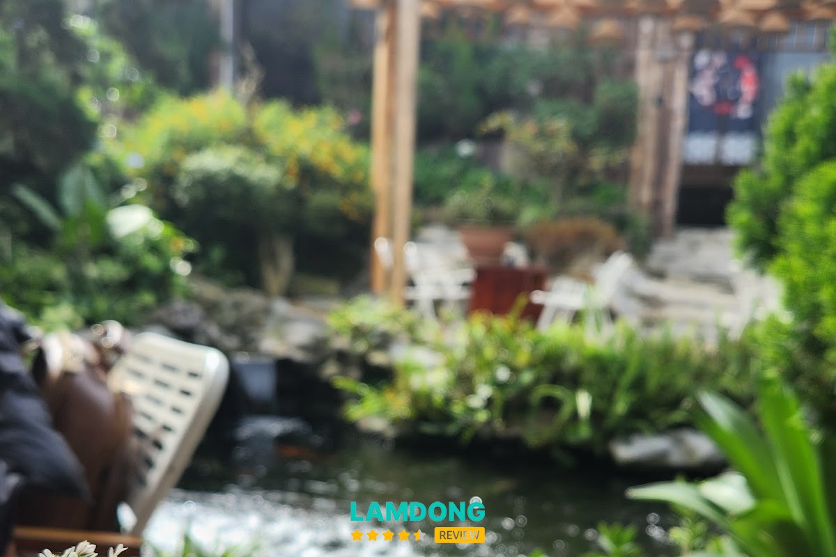 Trải nghiệm tại Hana's Mushroom Restaurant