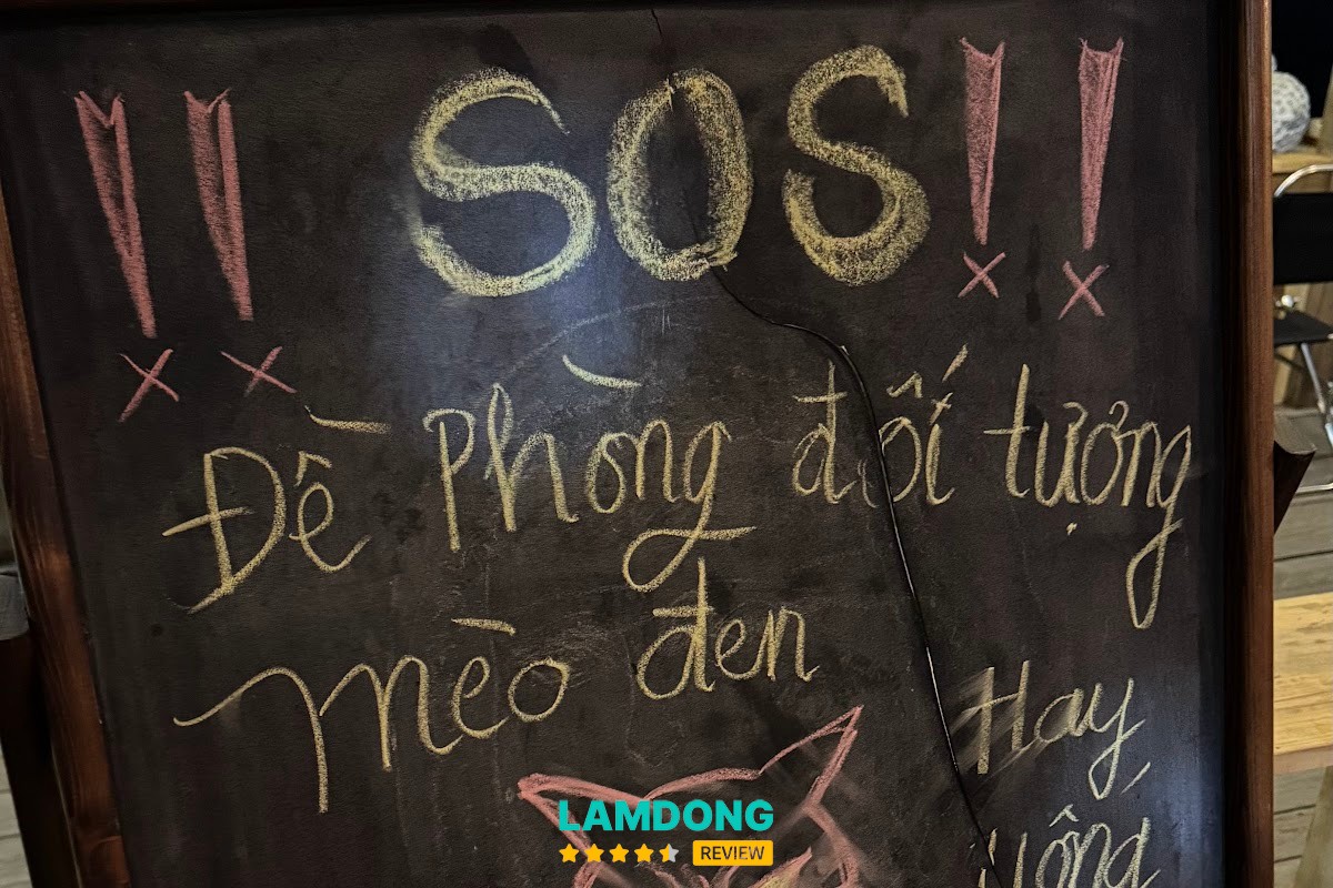Không gian RỪNG NA UY cafe
