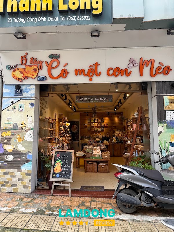 Trải nghiệm tại Ở Đây Có Một Con Mèo