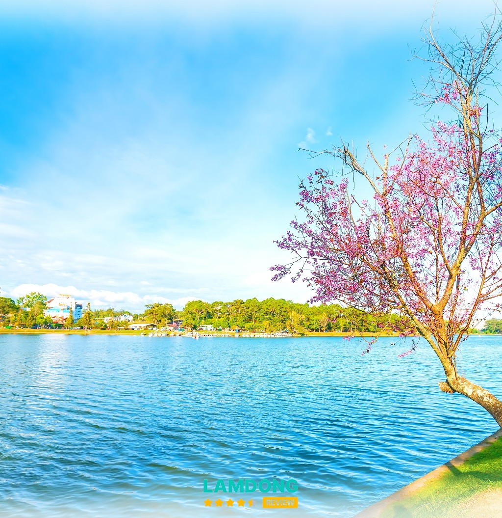 Hồ Xuân Hương Đà Lạt buổi sáng mờ sương