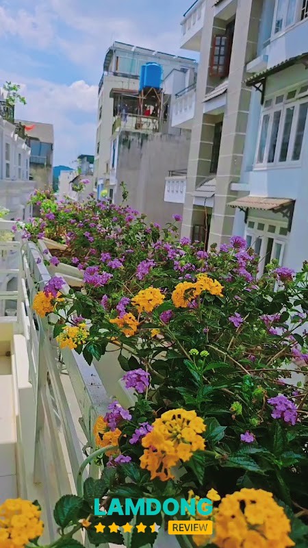Hình ảnh Nhi's House Đà Lạt