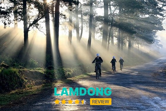 Xe khách và máy bay là hai phương tiện phổ biến để đi Đà Lạt