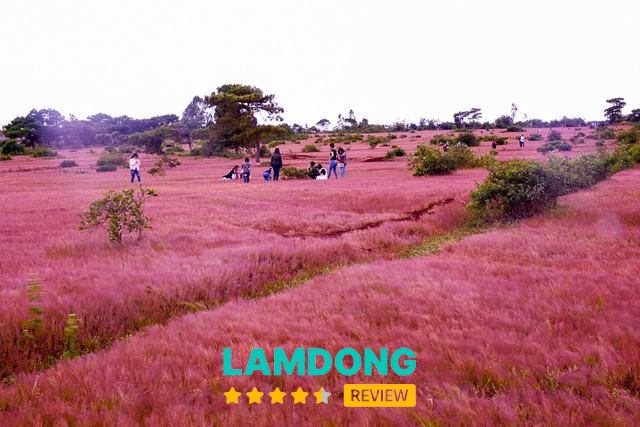 Homestay Đà Lạt với view đồi thông và ban công nhỏ