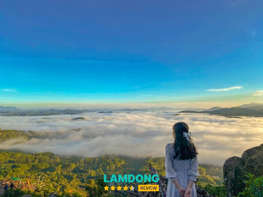 Lịch trình du lịch Đà Lạt 2 ngày 1 đêm cho người đi lần đầu