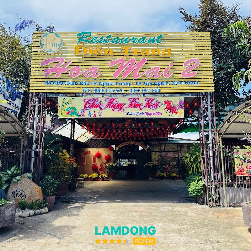 ĐIỀN TRANG HOA MAI 2 Gia Nghĩa