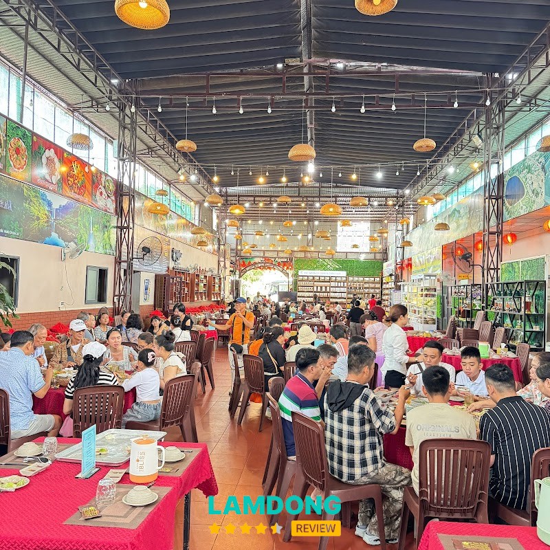 ĐIỀN TRANG HOA MAI 2 – cơm gia đình Gia Nghĩa