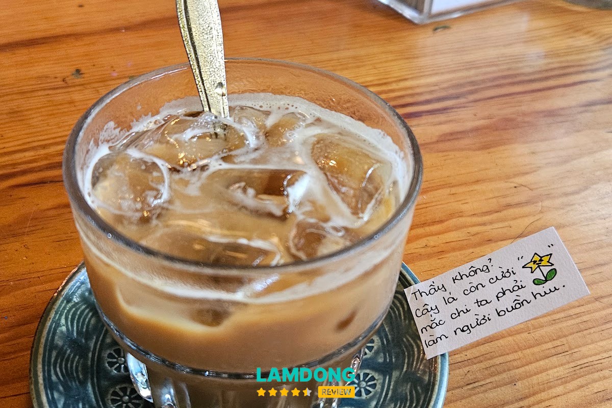 Không gian đọc sách tại Mọt Cafe Books