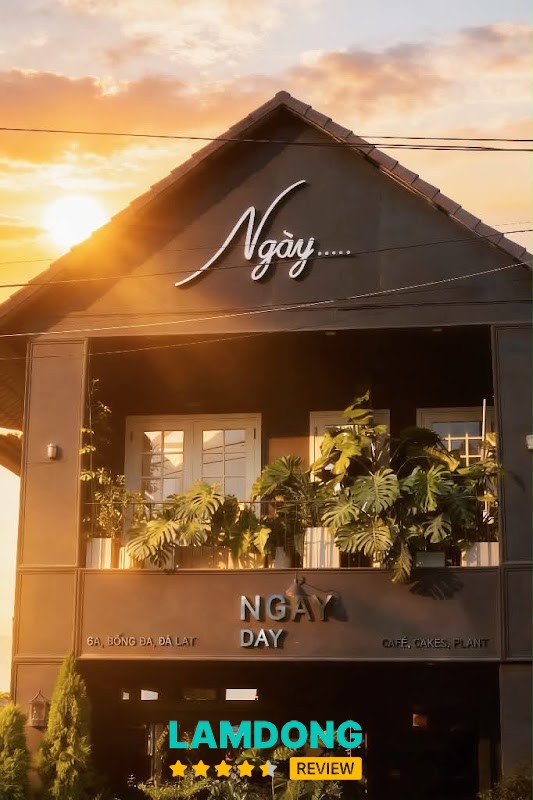Tiệm Cà Phê Ngủ Ngày tại Đà Lạt