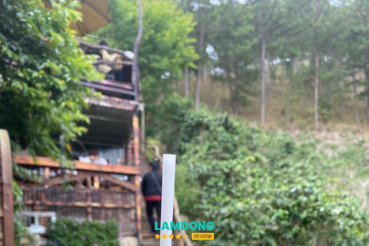 Trải nghiệm tại Nhà Bên Rừng
