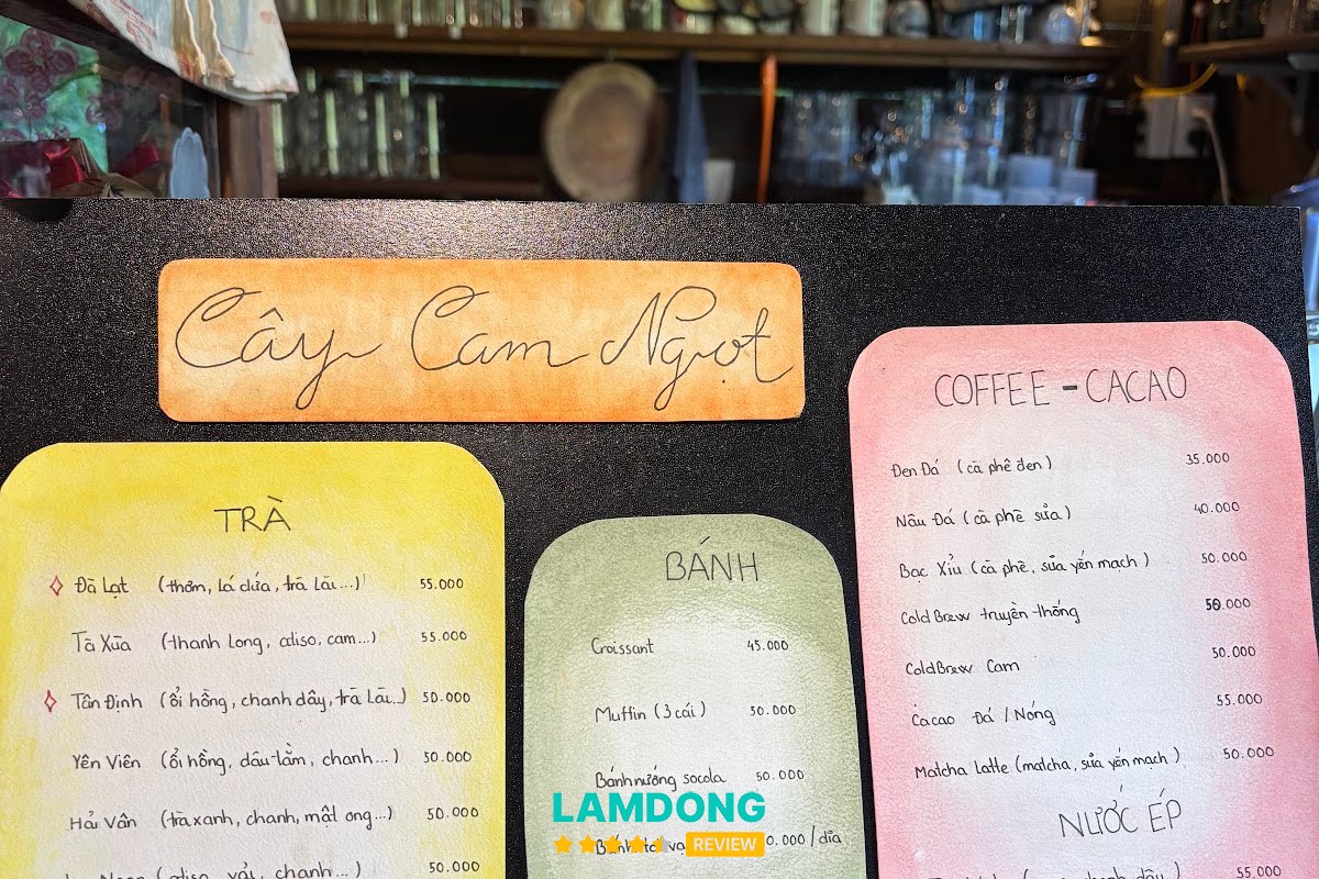 Cây Cam Ngọt tại Đà Lạt