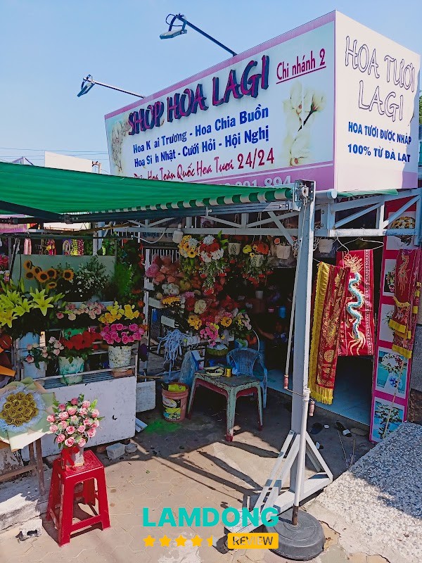 Shop hoa Lagi 409 Thống Nhất