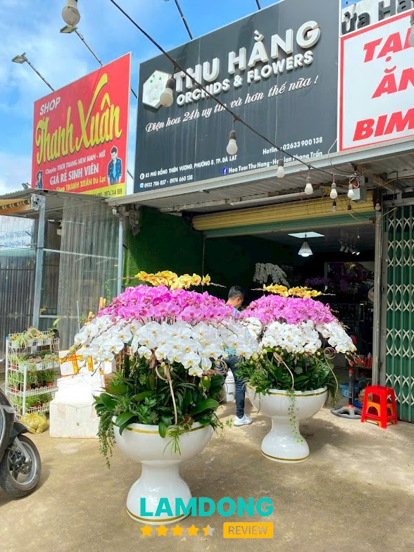 Shop Lan Hồ Điệp Đà Lạt – 83 Đường Phù Đổng Thiên Vương, Lâm Viên - Đà Lạt