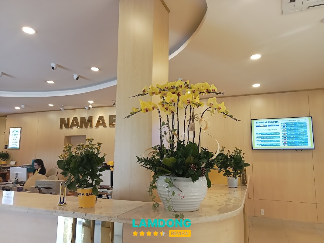 Shop Lan Hồ Điệp Đà Lạt – hoa lan nhiều màu