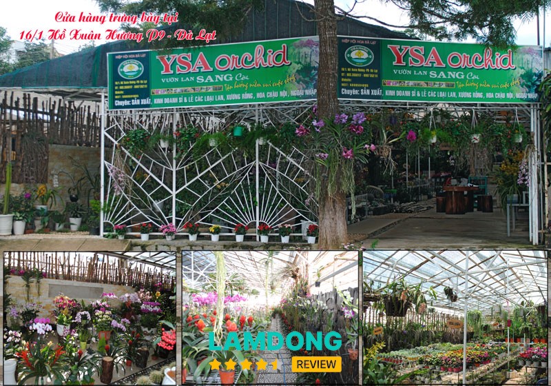 Điểm bán hàng Cty TNHH YSA CO.,LTD - Hoa lan Hồ Điệp Đà Lạt – 16 Hồ Xuân Hương, Lâm Viên - Đà Lạt