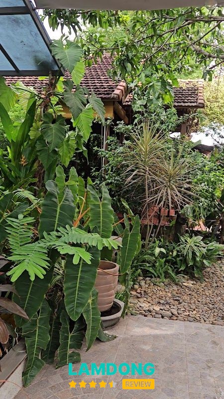Sân vườn tại Ecohouse Villa