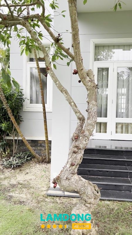 Không gian tại Mũi Né Villa Sky